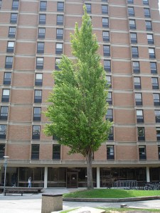 North Carrick entrance