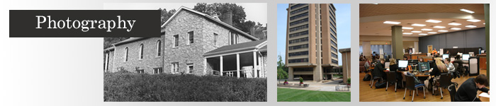 Link to photography portfolio page.